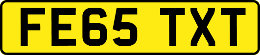 FE65TXT