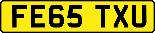 FE65TXU