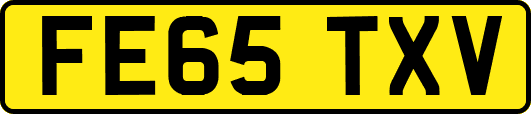 FE65TXV