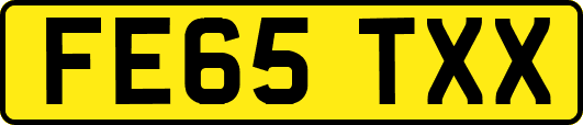 FE65TXX