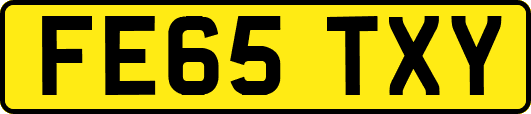 FE65TXY