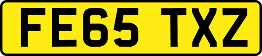 FE65TXZ
