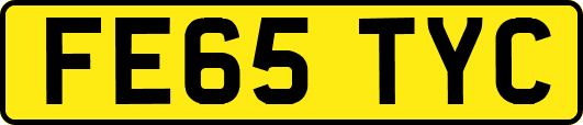 FE65TYC