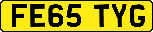 FE65TYG