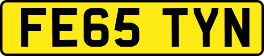 FE65TYN