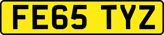 FE65TYZ