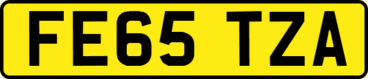 FE65TZA