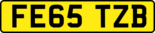 FE65TZB