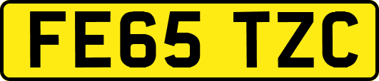 FE65TZC