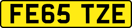 FE65TZE