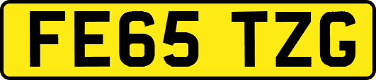FE65TZG