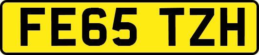 FE65TZH