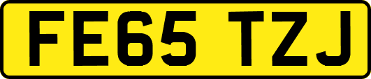 FE65TZJ