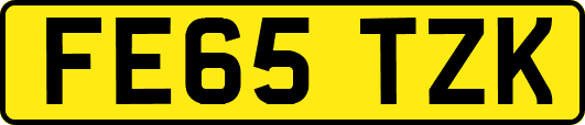 FE65TZK