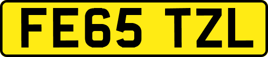FE65TZL