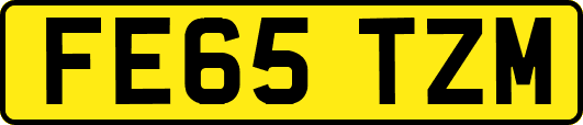 FE65TZM