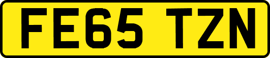 FE65TZN