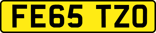 FE65TZO