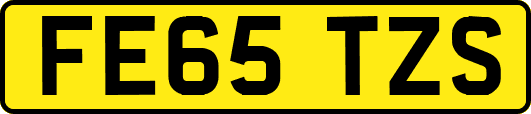 FE65TZS