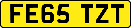 FE65TZT