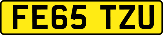 FE65TZU