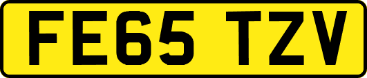 FE65TZV