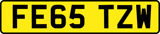 FE65TZW