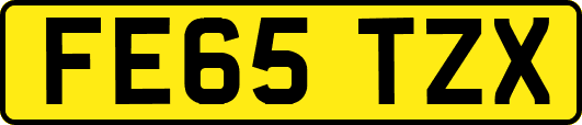 FE65TZX