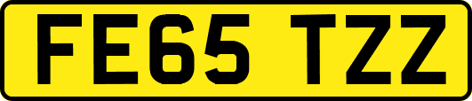 FE65TZZ