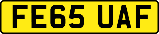 FE65UAF