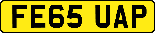 FE65UAP