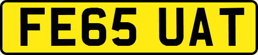 FE65UAT