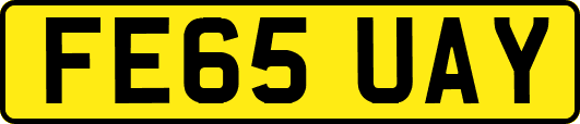 FE65UAY