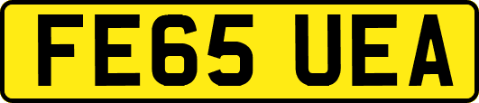 FE65UEA
