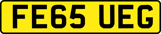 FE65UEG