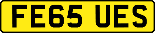 FE65UES