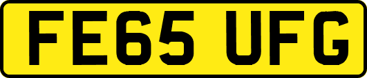 FE65UFG