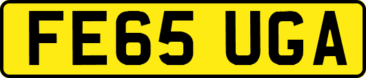 FE65UGA