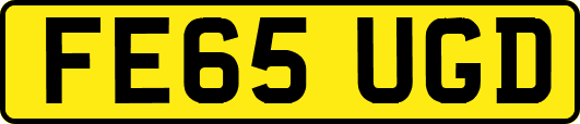 FE65UGD