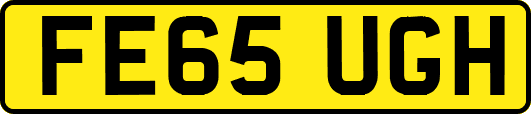 FE65UGH