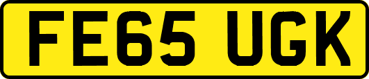 FE65UGK