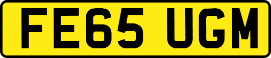 FE65UGM