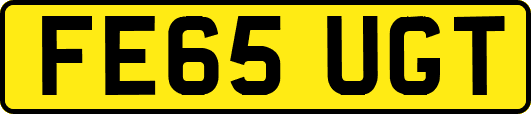 FE65UGT