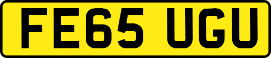 FE65UGU