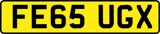 FE65UGX