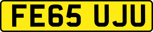 FE65UJU