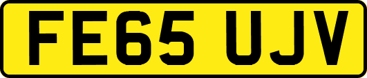FE65UJV