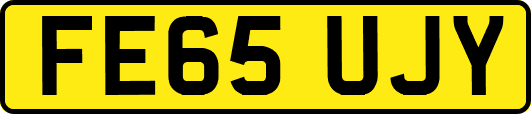 FE65UJY