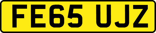 FE65UJZ