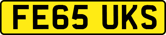 FE65UKS